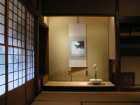 Photo_1