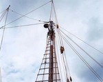 Image_1