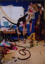 Afternoonofatrier1_1