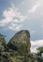 Tamai02