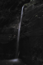 Tamai_2