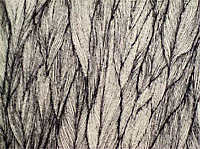 art154_03_4