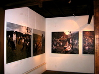 paramodel3