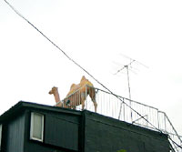 art160_01_1