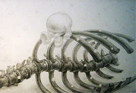 eye39_10