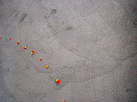 art157_01_4