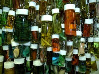 art98_2-02