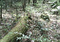 art107_03_3