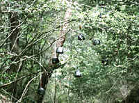 art107_03_4