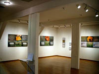 art74_004