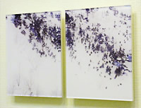 art175_04_1