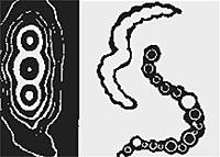 art152_02_6
