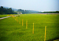 art113_01_1