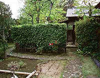 art107_02_6