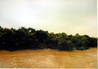 art98_03
