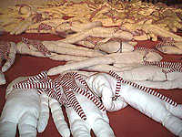 art109_02_5