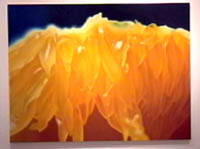 art95_iba01